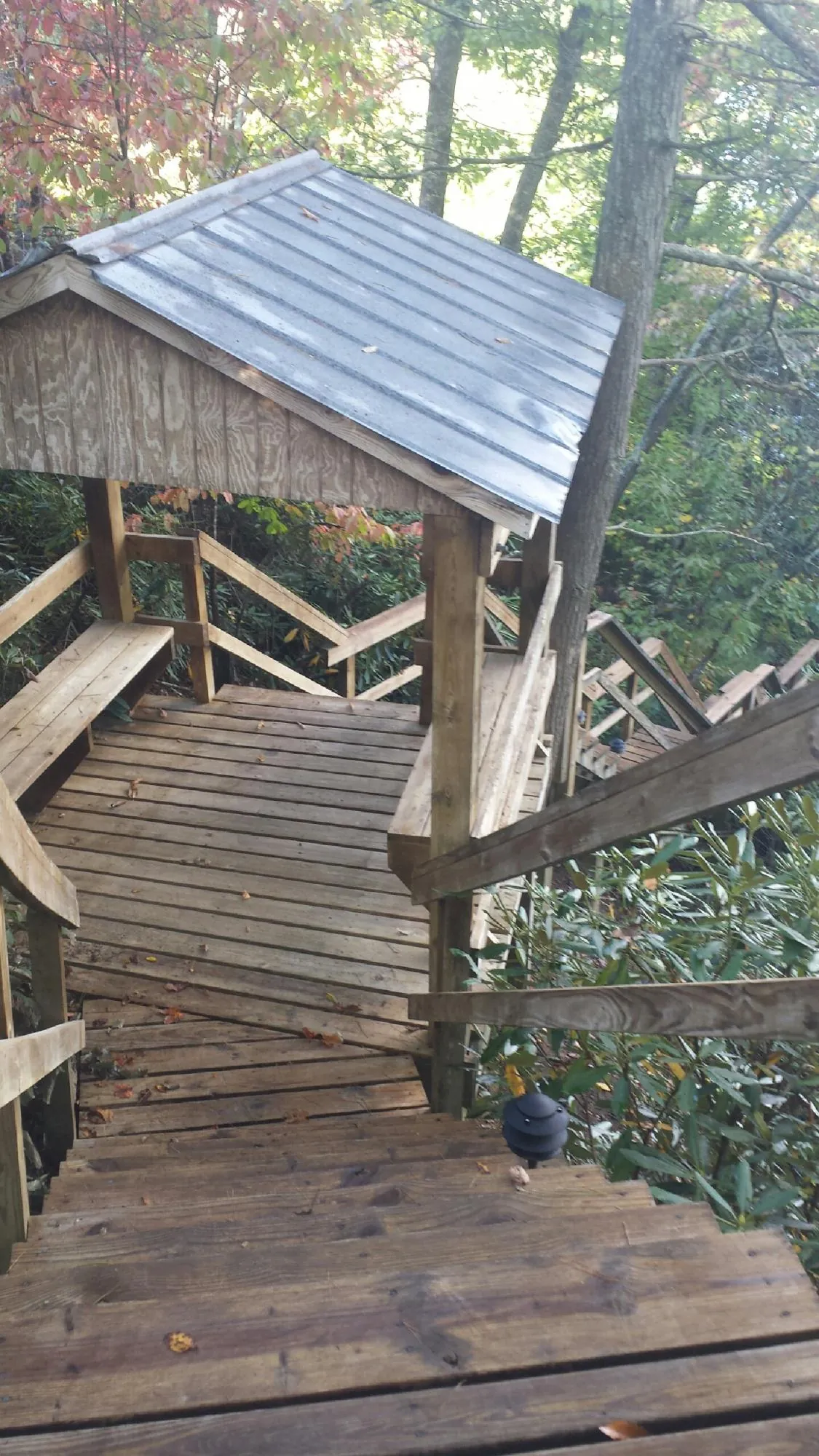 Metal roofed shelter over wooden steps on a wooded walkway — Skylight Repair & Installation work by our crew in Red Banks